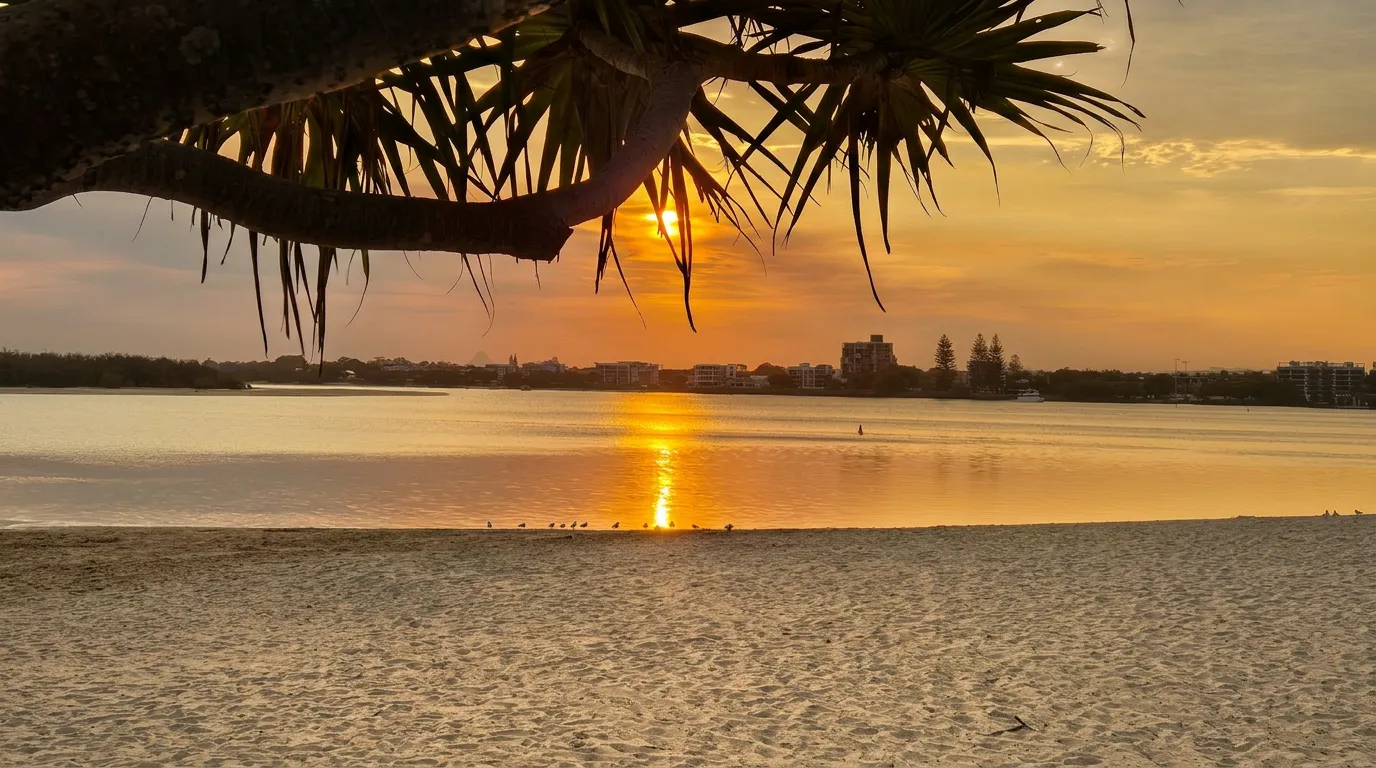 Sunset framed by pandanus trees along the Caloundra esplanade