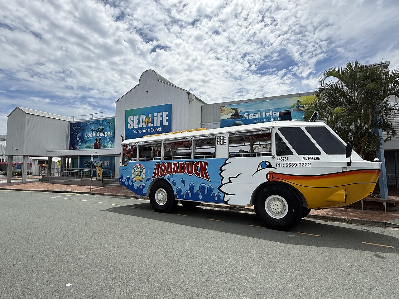 SEA LIFE Mooloolaba aquarium underwater - Sunshine Coast kids review
